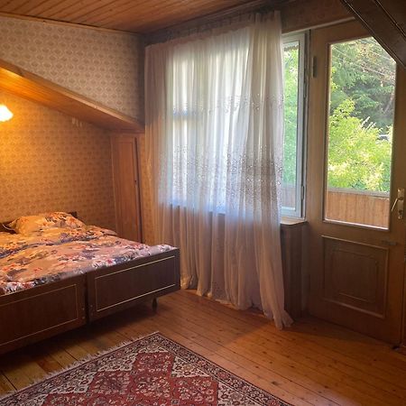 Guest House Raisa Dilisan Kültér fotó